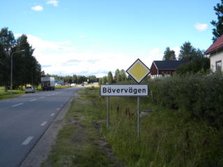 Bvervgen